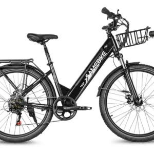 Samebike RS-A01 Pro-T Urban Electric Bicycle